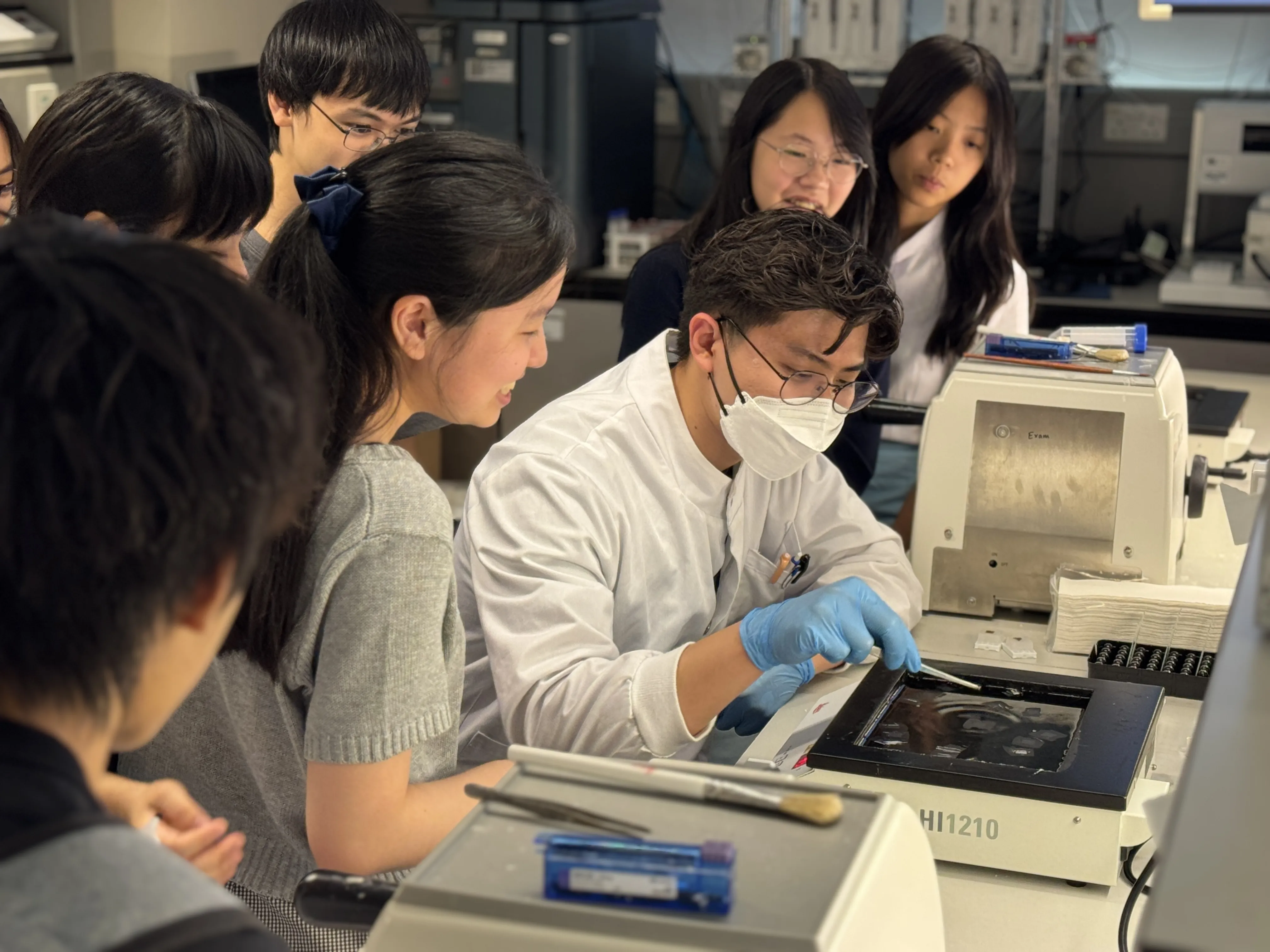 Participation in 'Summer Taster Programme'