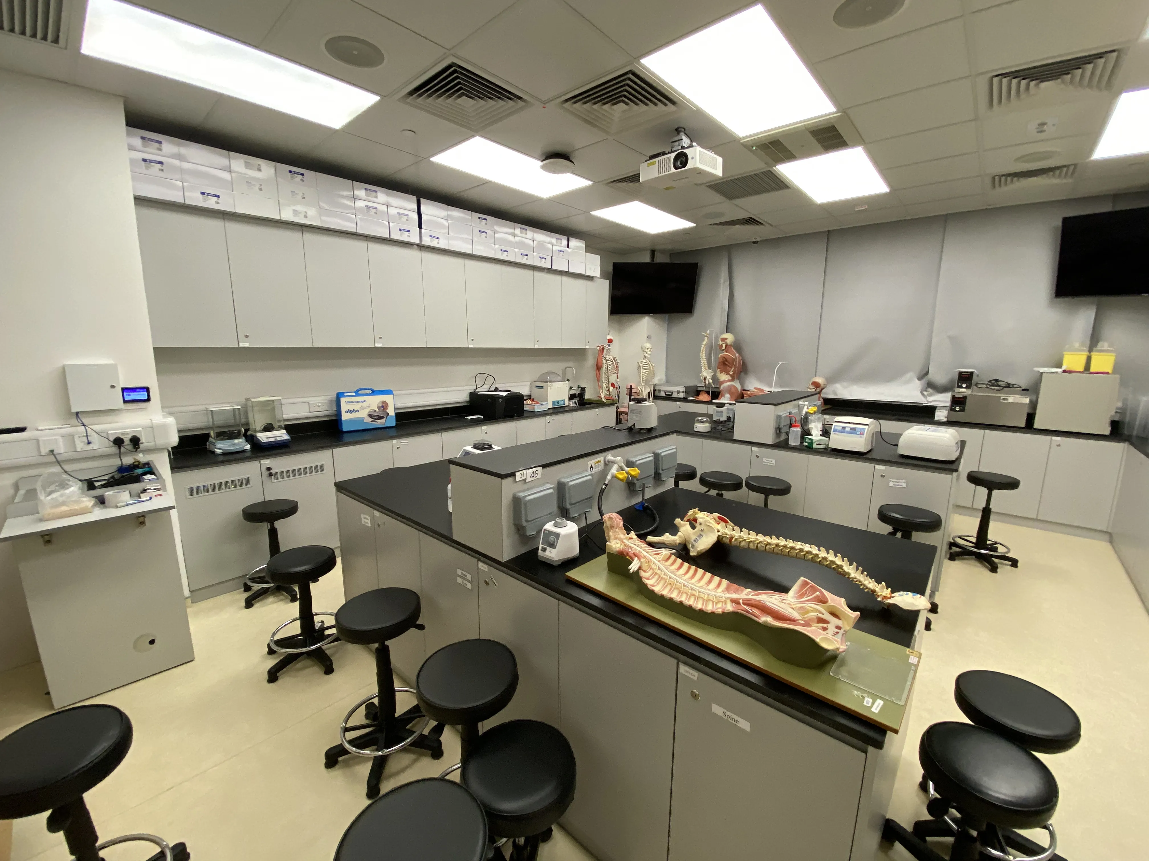 Anatomy and Physiology Laboratory