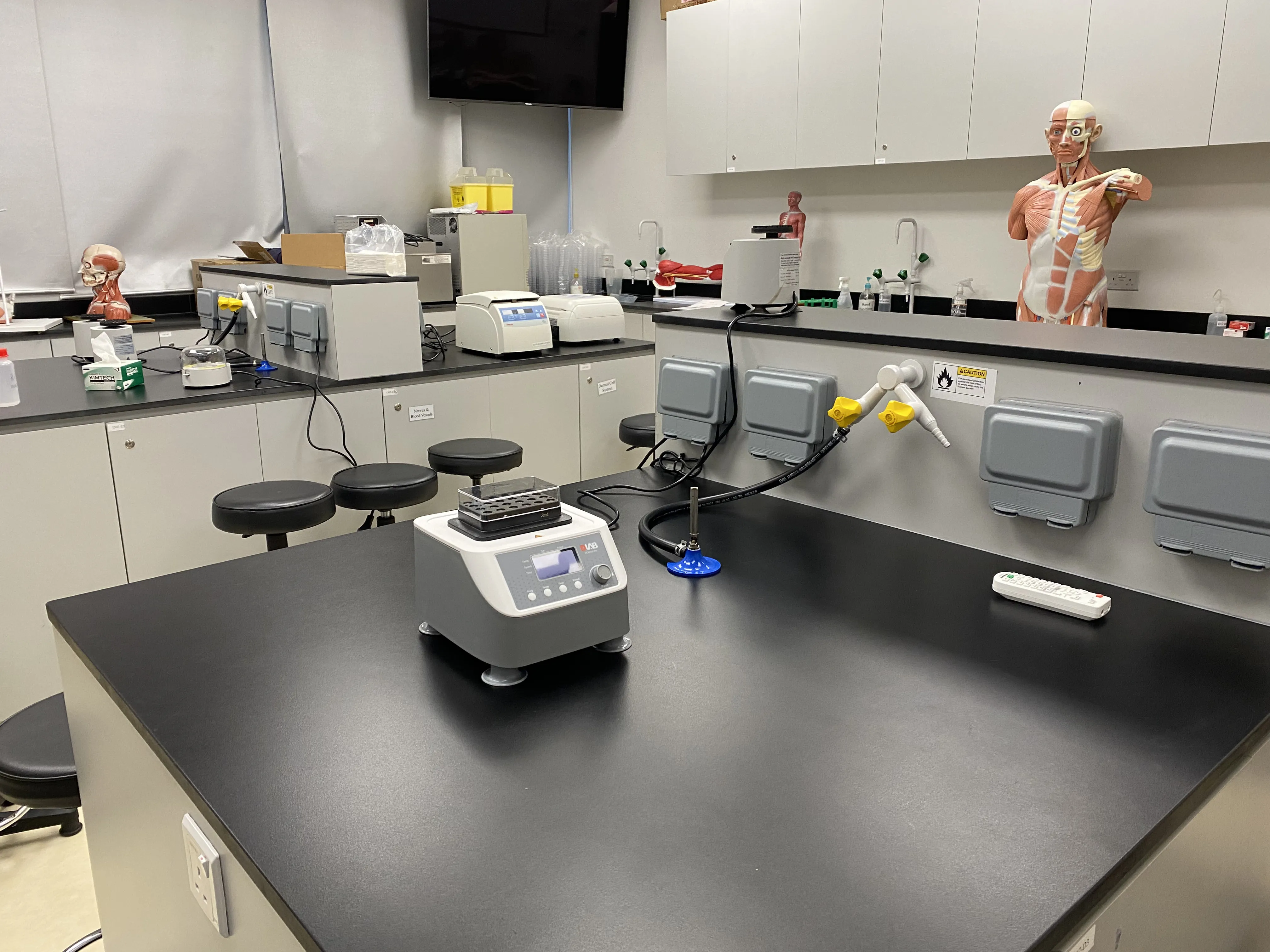 Anatomy and Physiology Laboratory